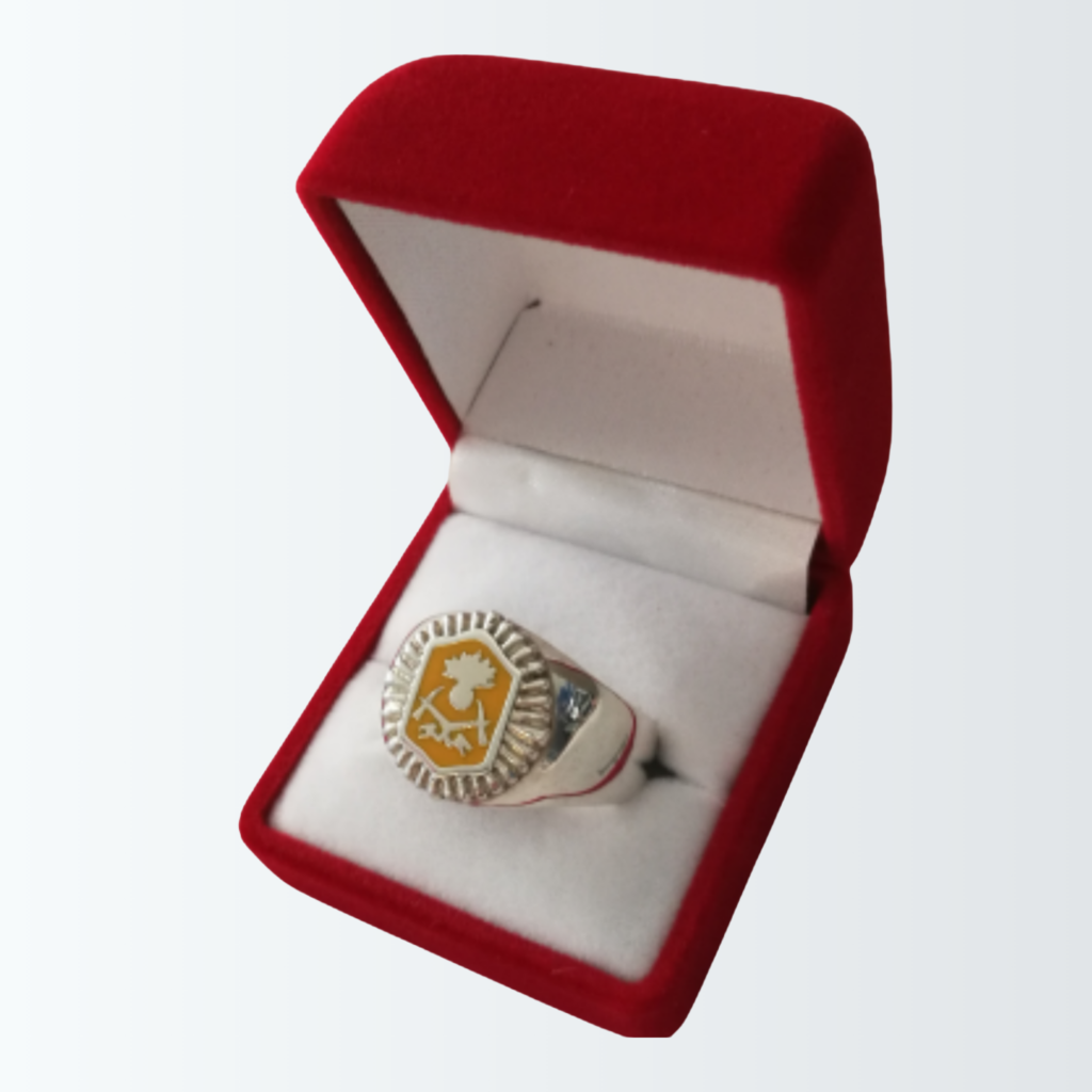 Anillo de plata 925 con escudo institucional, esmaltado y terminado, uno de los muchos fabricados en serie a pedido especial a Meridiano75